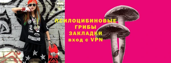 кокс Арсеньев