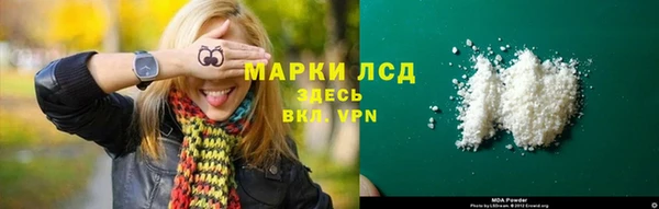 ГАЛЛЮЦИНОГЕННЫЕ ГРИБЫ Аркадак