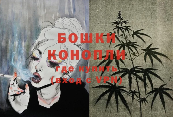сатива Лихославль