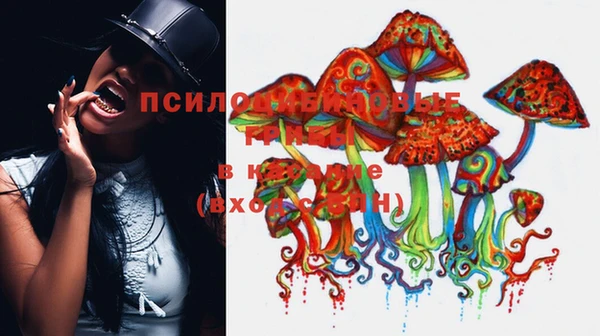 кокс Арсеньев
