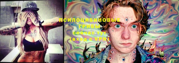 ГАЛЛЮЦИНОГЕННЫЕ ГРИБЫ Аркадак
