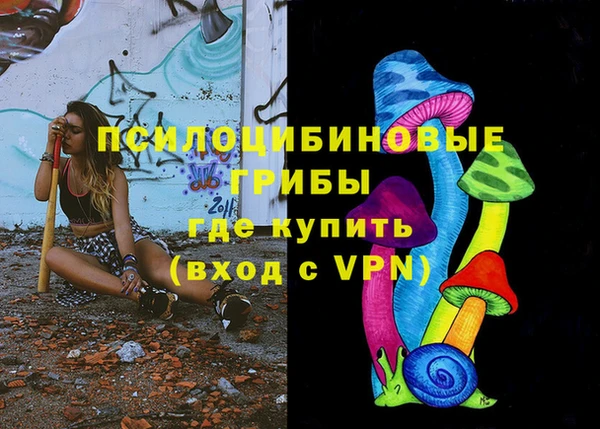 ГАЛЛЮЦИНОГЕННЫЕ ГРИБЫ Аркадак